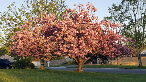 Home Improvement Store «The Home Depot», reviews and photos, 20 Farber Dr, Bellport, NY 11713, USA