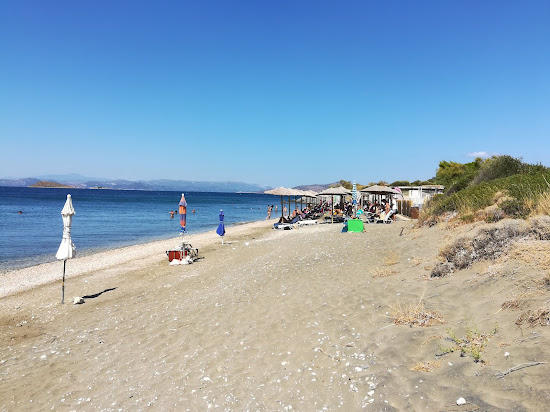 Aria beach
