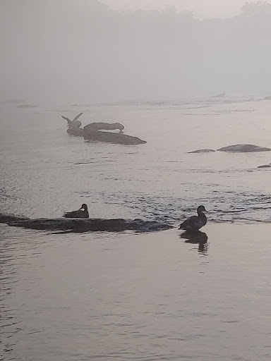 Park «Jones Bridge Park», reviews and photos, 4901 E Jones Bridge Rd, Peachtree Corners, GA 30092, USA