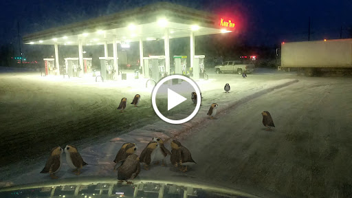 Convenience Store «Kwik Trip #662», reviews and photos, 3145 Dodd Rd a, Eagan, MN 55121, USA