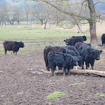 Photo n°7 de l'avis de Thomas.h fait le 19/02/2023 à 10:58 sur le  Biohotel Stiftsgut Wilhelmsglücksbrunn & Biorestaurant Saline à Amt Creuzburg