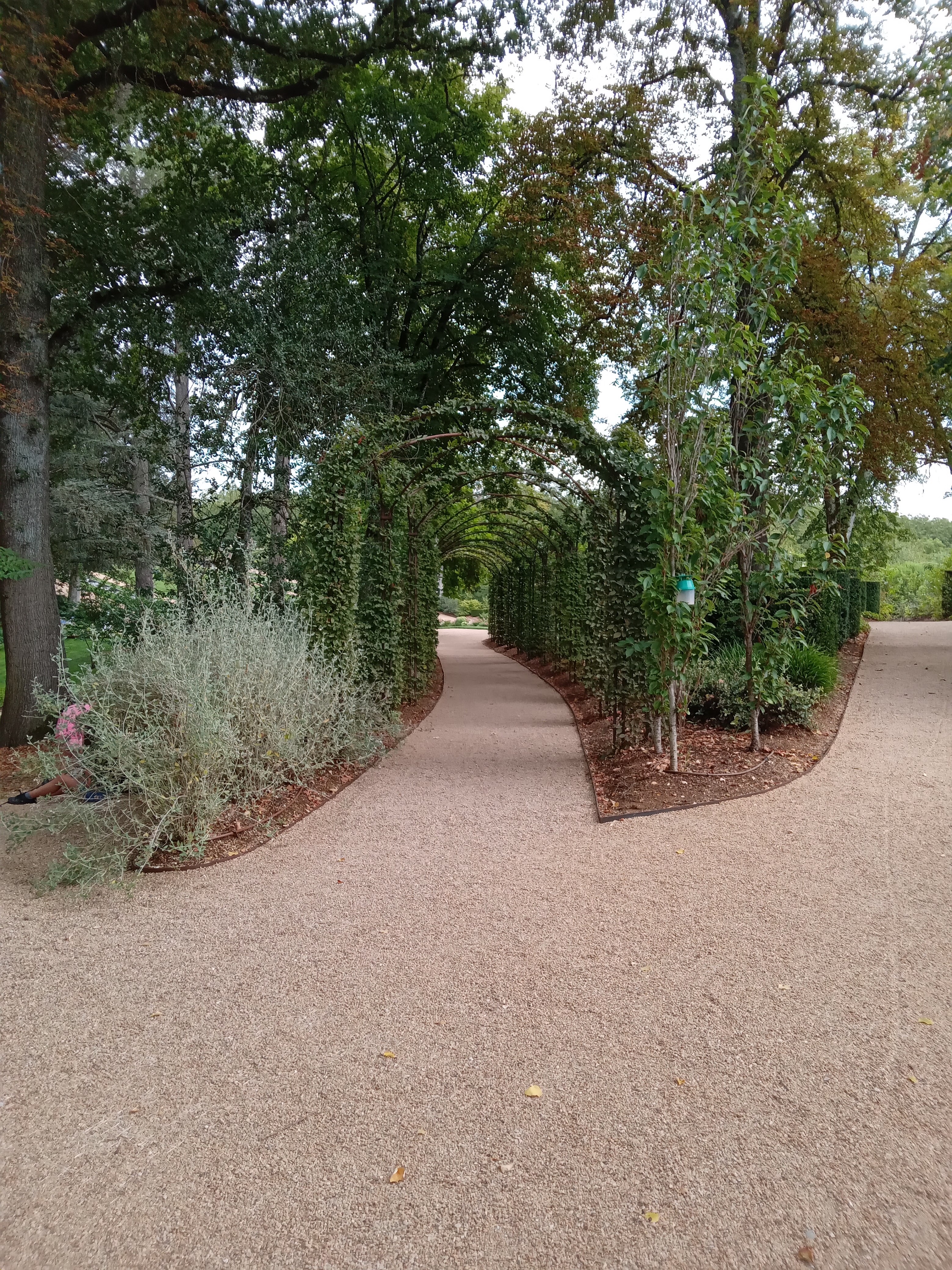 Photo n° 9 de l'avis de Laurence. fait le 21/08/2022 à 22:53