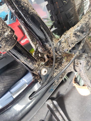 Bicycle Store «Bonney Lake Bicycle Shop of Sumner», reviews and photos, 1406 Main St, Sumner, WA 98390, USA