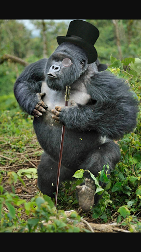 Barber Shop «American Traditional Barbershop LLC», reviews and photos, 23 E 11th Ave, Eugene, OR 97405, USA