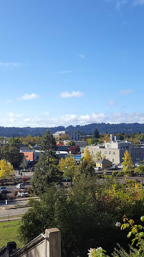 Museum «Shelton-McMurphey-Johnson House», reviews and photos, 303 Willamette St, Eugene, OR 97401, USA