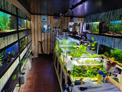 Schreiber Aquaristik unter Langenhagen, 