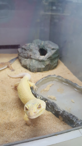 Reptile Store «La Habra Pets», reviews and photos, 1919 W La Habra Blvd, La Habra, CA 90631, USA