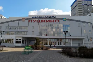 Palace of Sports "Pushkino" image