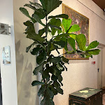 Photo n°3 de l'avis de Max.o fait le 07/05/2023 à 16:44 sur le  Neo Hotel à Bresso