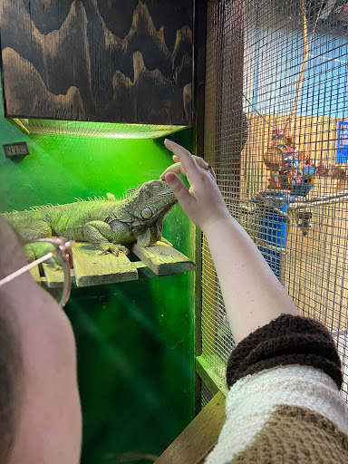 Aquarium «SeaQuest Interactive Aquarium», reviews and photos, 1201 N Hill Field Rd #1072, Layton, UT 84041, USA