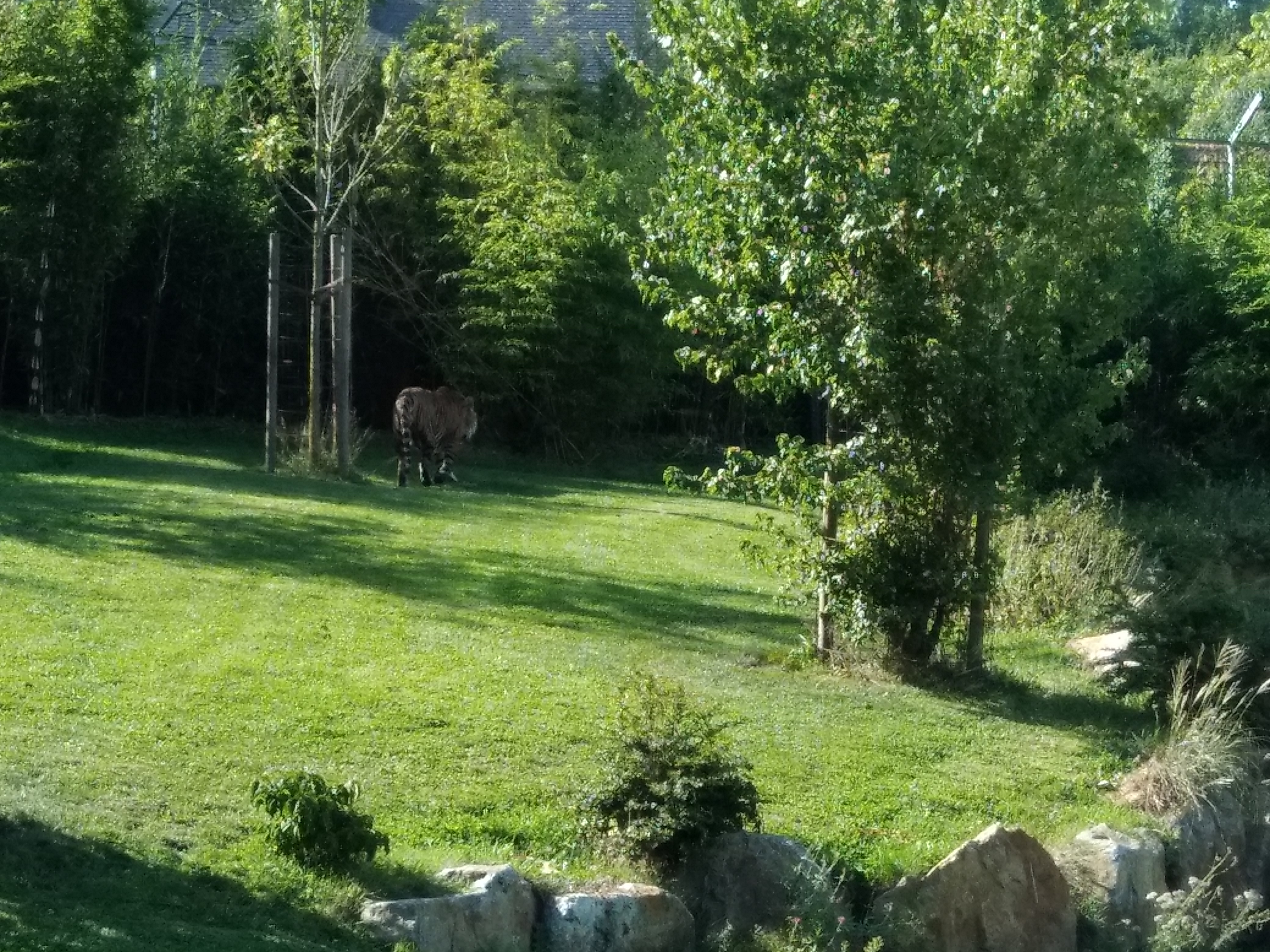 Photo n° 13 de l'avis de carine.a fait le 25/08/2019 à 20:31