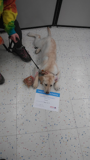 Pet Supply Store «Pet Supplies Plus», reviews and photos, 6030 S Pennsylvania Ave, Lansing, MI 48911, USA