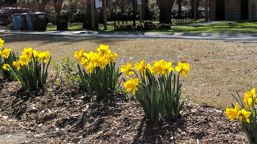 Park «Pigeon Point Park», reviews and photos, 1521 Pigeon Point Rd, Beaufort, SC 29902, USA