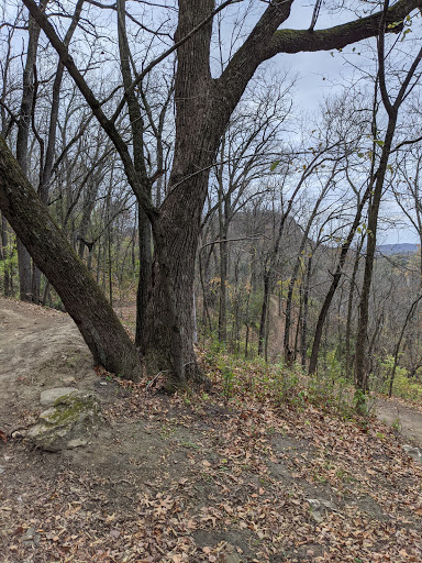 Florist «La Crosse Floral», reviews and photos, 2900 Floral Ln, La Crosse, WI 54601, USA