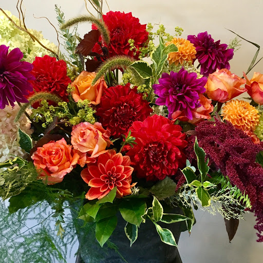 Florist «Derby Farm Flowers & Gardens», reviews and photos, 218 Massachusetts Ave, Arlington, MA 02474, USA