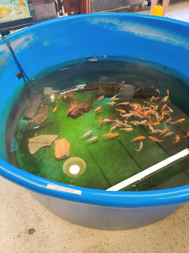 Pet Supply Store «Pet Bazaar», reviews and photos, 490 FL-436, Casselberry, FL 32707, USA