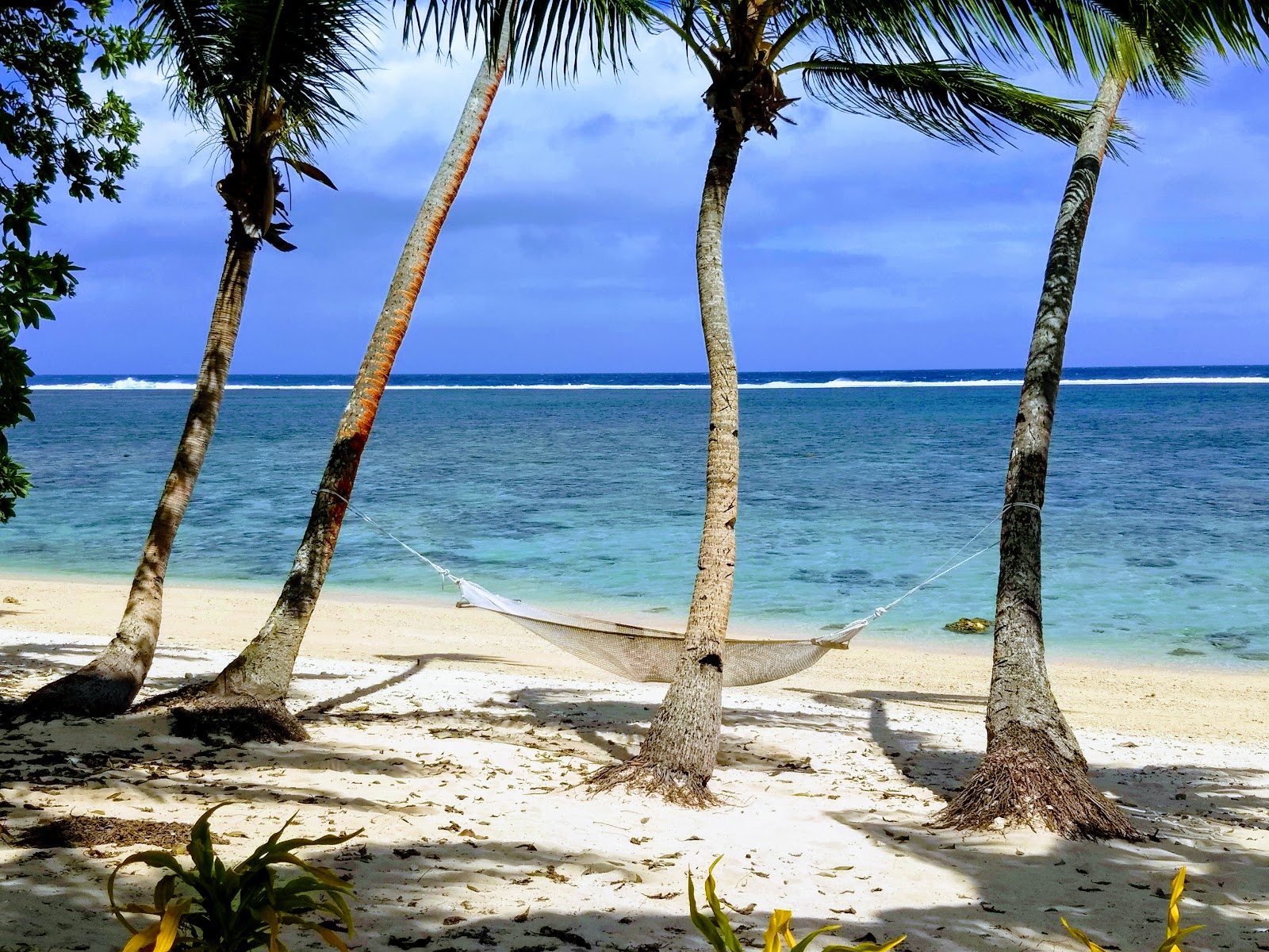 Foto de Tambua Sands Beach y el asentamiento