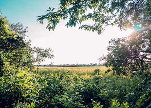 Nature Preserve «Meigs Point Nature Center», reviews and photos, 1288 Boston Post Rd, Madison, CT 06443, USA
