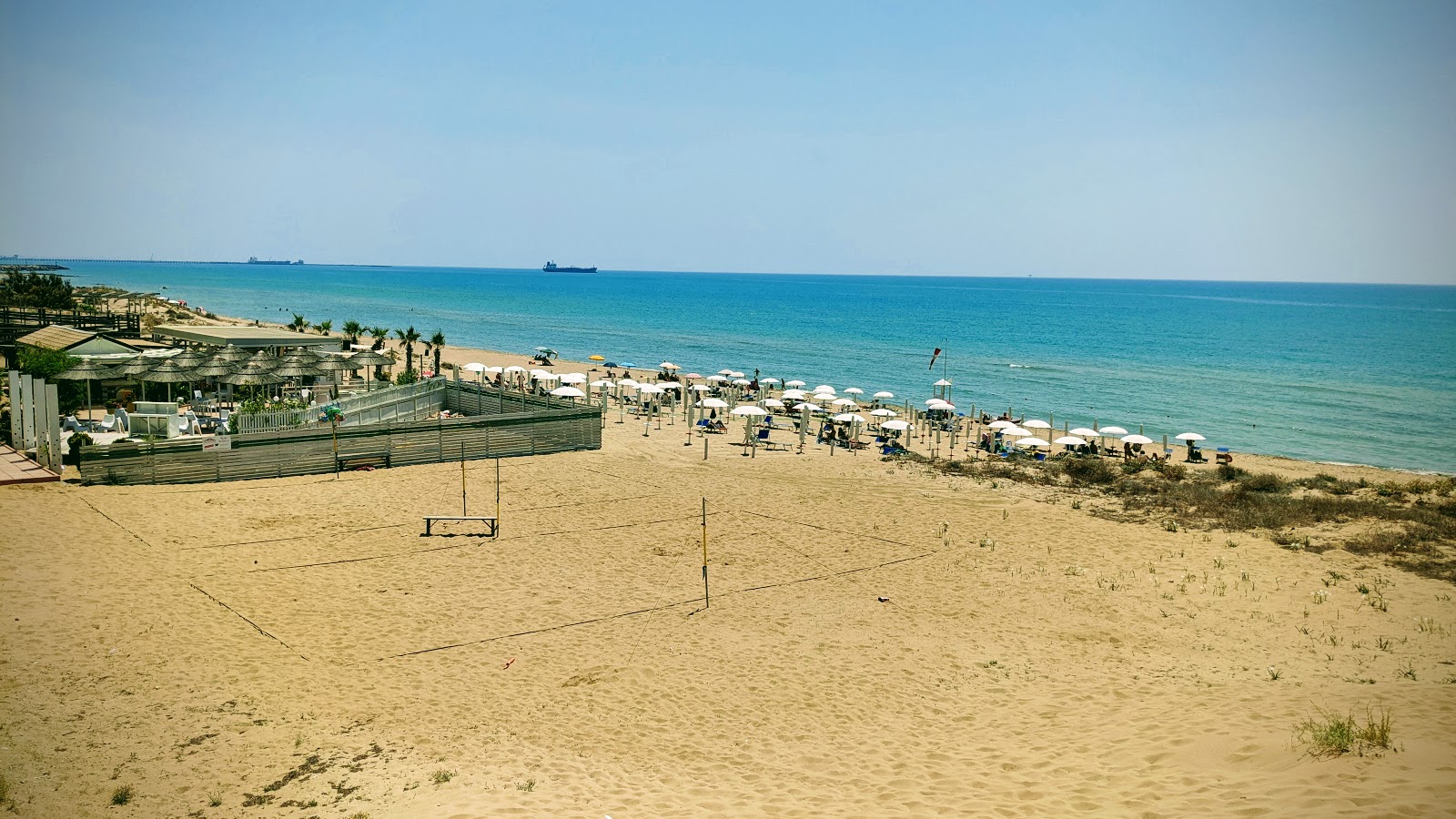 Macchitella photo #6