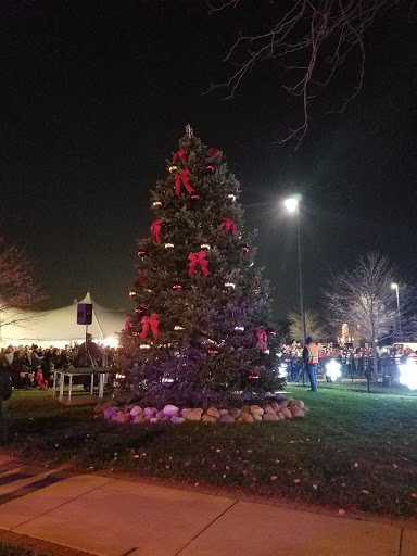 Water Park «Niles Prk District Oasis Waterpark», reviews and photos, 7877 N Milwaukee Ave, Niles, IL 60714, USA