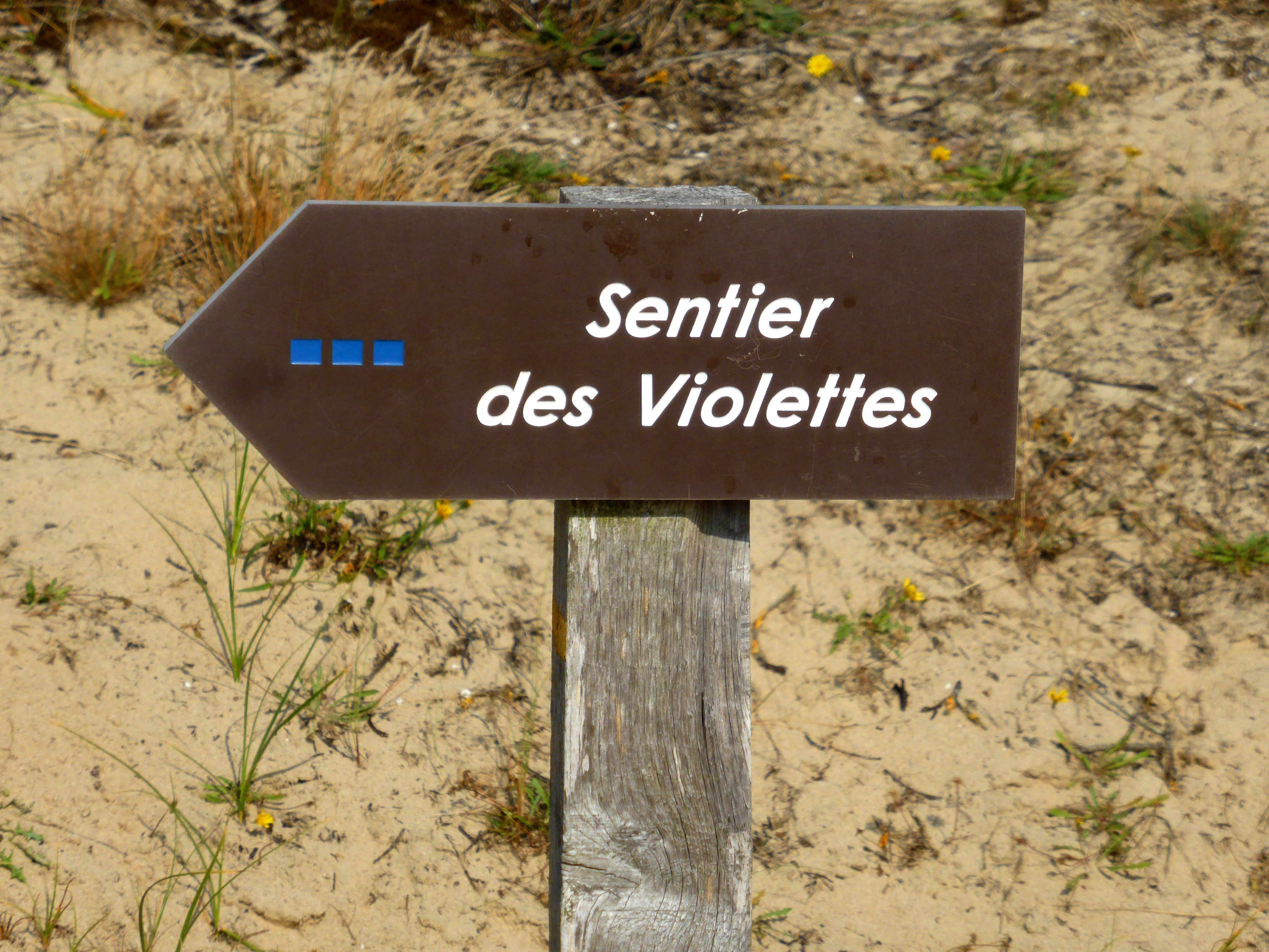 Photo n° 14 de l'avis de Joseph.a fait le 01/10/2021 à 15:40