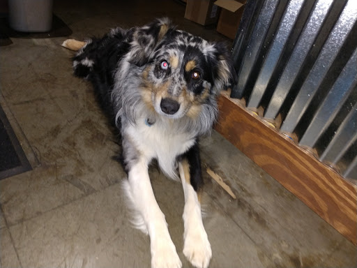 Tobacco Shop «Smoke N Brew 2», reviews and photos, 1401 Woodruff Rd, Greenville, SC 29607, USA