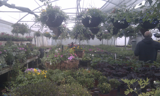 Bridge Valley Nursery