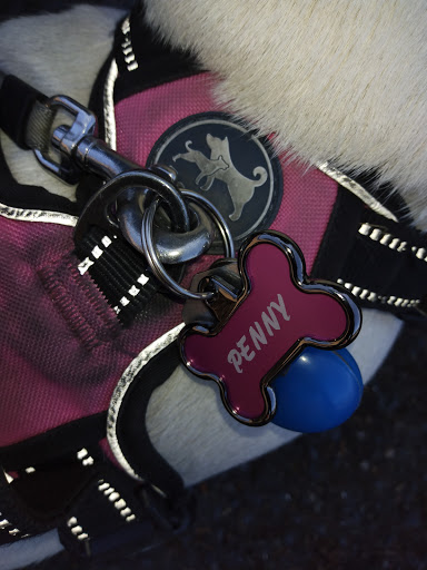 Pet Supply Store «PetSmart», reviews and photos, 7501 SW Dartmouth St, Tigard, OR 97223, USA