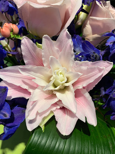 Florist «Blossoms», reviews and photos, 33866 Woodward Ave, Birmingham, MI 48009, USA