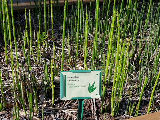 Planetarium «Fernbank Science Center», reviews and photos, 156 Heaton Park Dr, Atlanta, GA 30307, USA