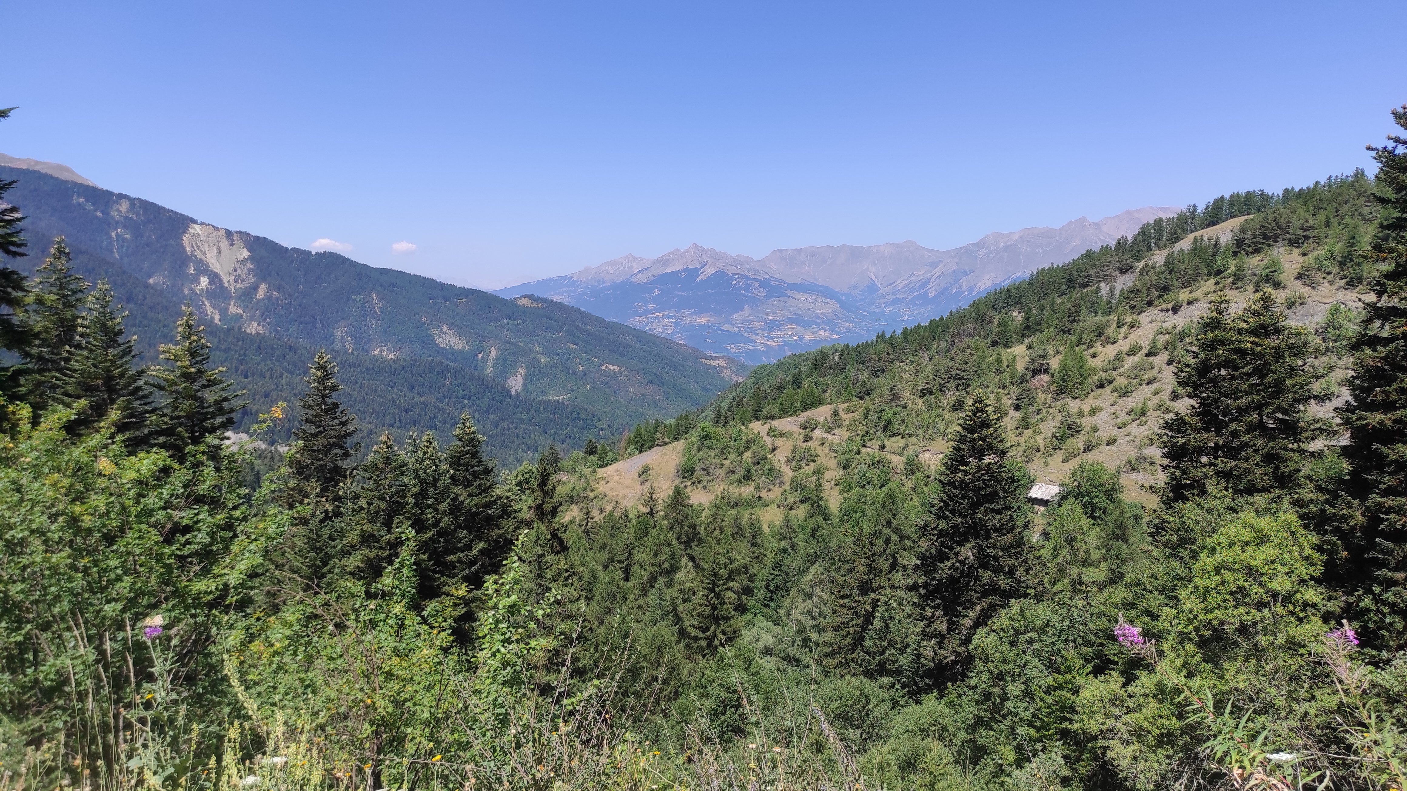 Photo n° 4 de l'avis de Maxime.u fait le 25/07/2022 à 20:09