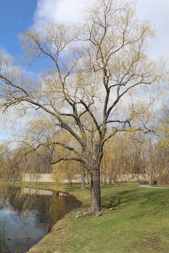 Park «Larz Anderson Park», reviews and photos, 325 Goddard Ave, Brookline, MA 02445, USA