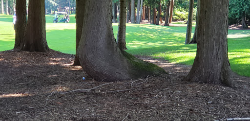 Country Club «Sahalee Country Club», reviews and photos, 21200 NE Sahalee Country Club Dr, Sammamish, WA 98074, USA