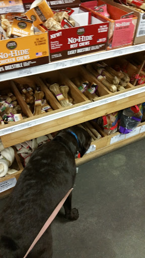 Garden Center «A W Brown Pet & Garden», reviews and photos, 144 Shaker Rd, East Longmeadow, MA 01028, USA