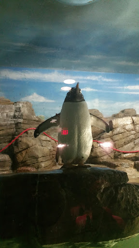 Zoo «Oceans of Fun», reviews and photos, 10001 W Bluemound Rd, Milwaukee, WI 53226, USA