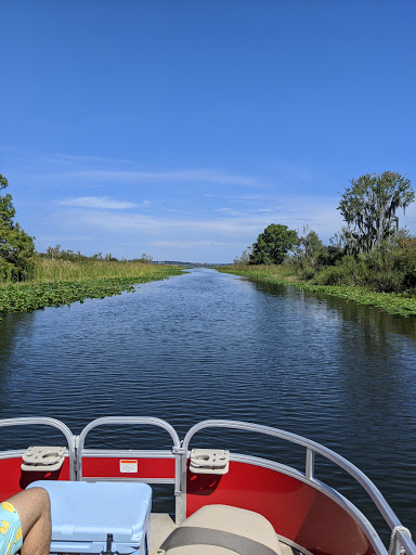 National Forest «Ocala National Forest», reviews and photos, FL-40, Silver Springs, FL 34488, USA