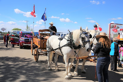 Iron Horse Turtle Ranch Carriage and Sleigh Service