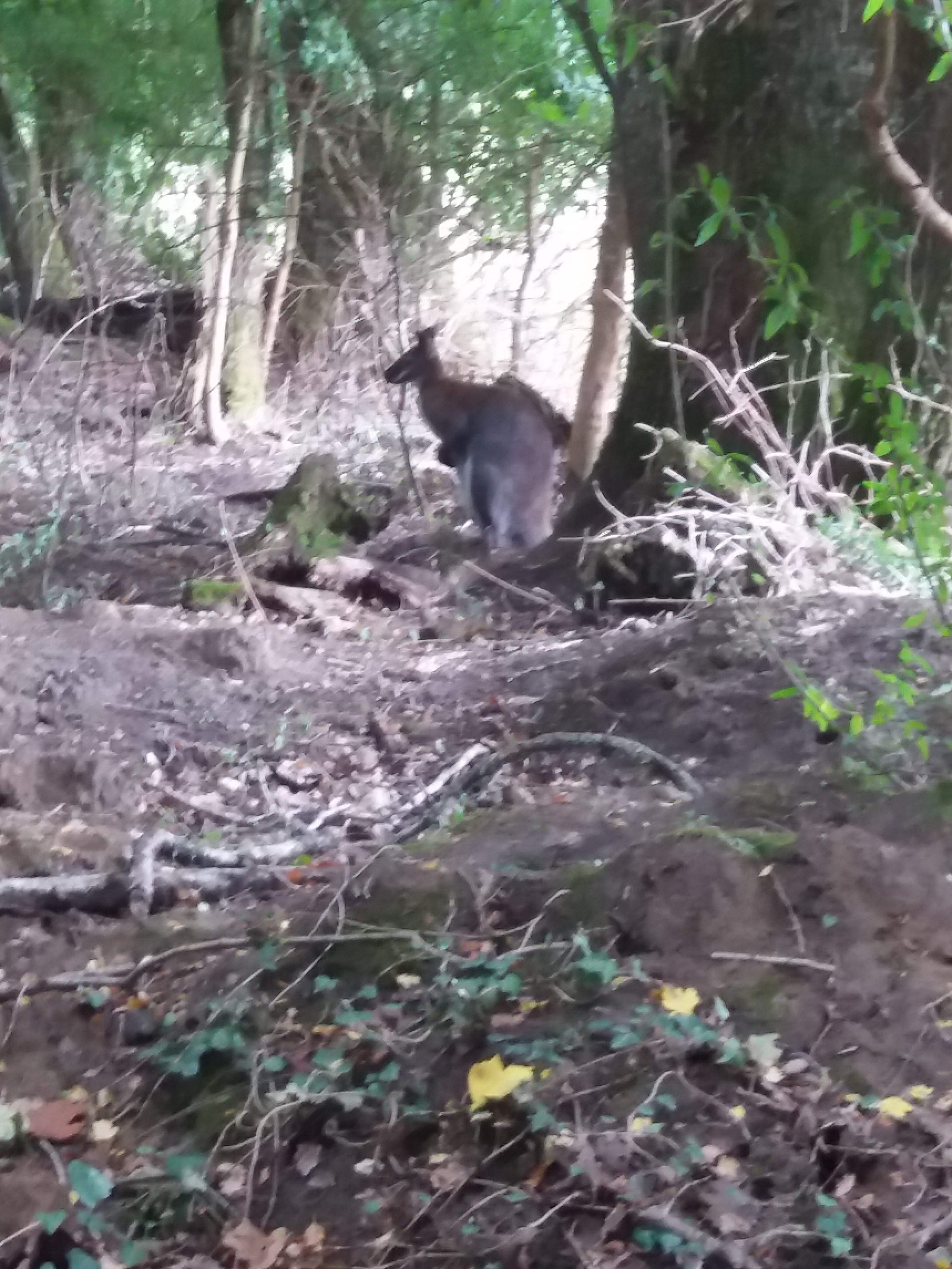 Photo n° 4 de l'avis de Aline. fait le 15/08/2018 à 08:22