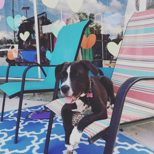 Boutique «Mad Hatter Boutique», reviews and photos, 2626 West Chester Pike, Broomall, PA 19008, USA