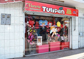 Florería Tulipán Barranca