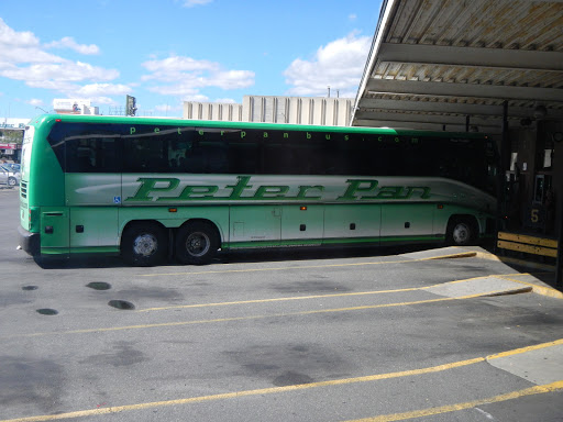 Bus charter Springfield