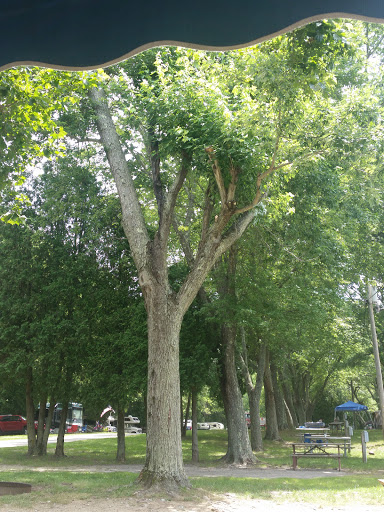 Campground «Boston / Cape Cod KOA Holiday», reviews and photos, 438 Plymouth St, Middleborough, MA 02346, USA