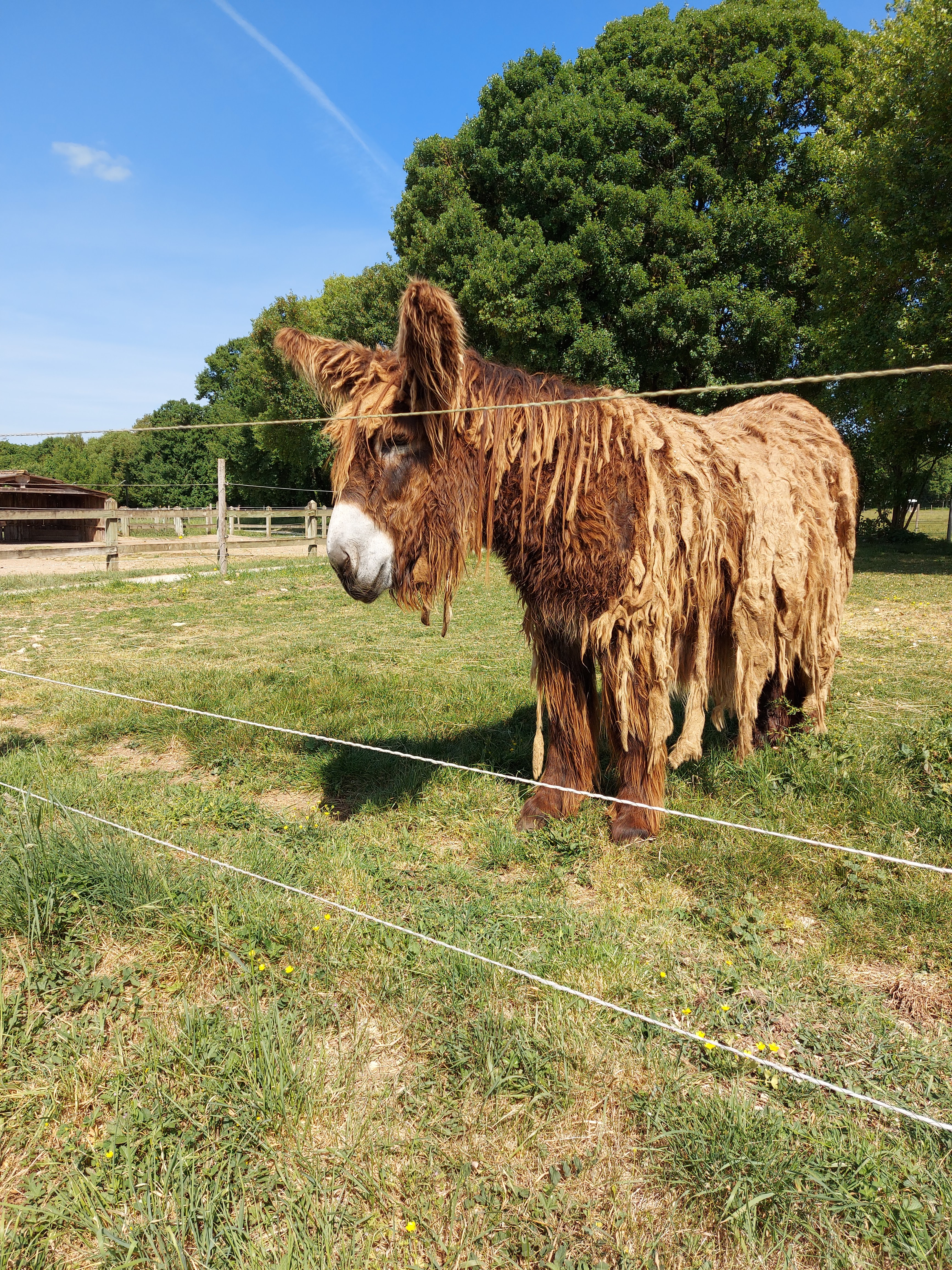 Photo n° 3 de l'avis de Leeloo.l fait le 13/05/2022 à 18:30