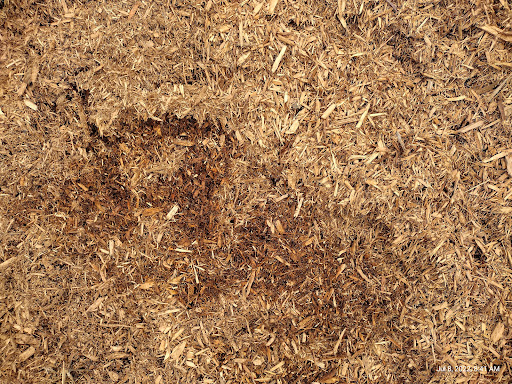 Animal Feed Store «Smeltzer & Sons Feed Supply», reviews and photos, 1139 U.S. 9, Cape May Court House, NJ 08210, USA