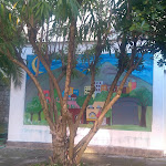 Photo n°1 de l'avis de Francesca.o fait le 03/08/2019 à 12:21 sur le  Panificio - Caffetteria Susanna Frigo à Roana