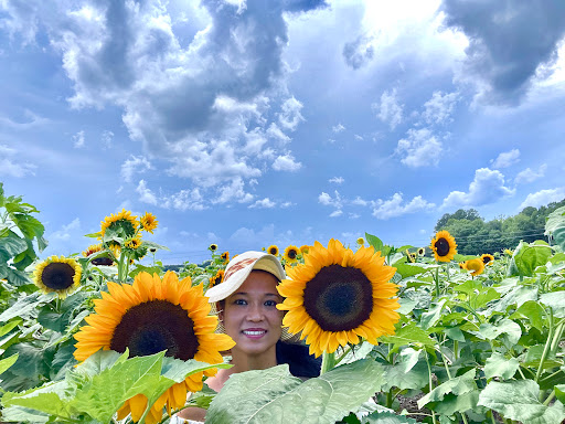 Fruit and Vegetable Store «Henley Farm», reviews and photos, 3513 Charity Neck Rd, Virginia Beach, VA 23456, USA