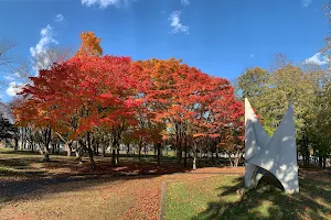 Kitahiro Park image