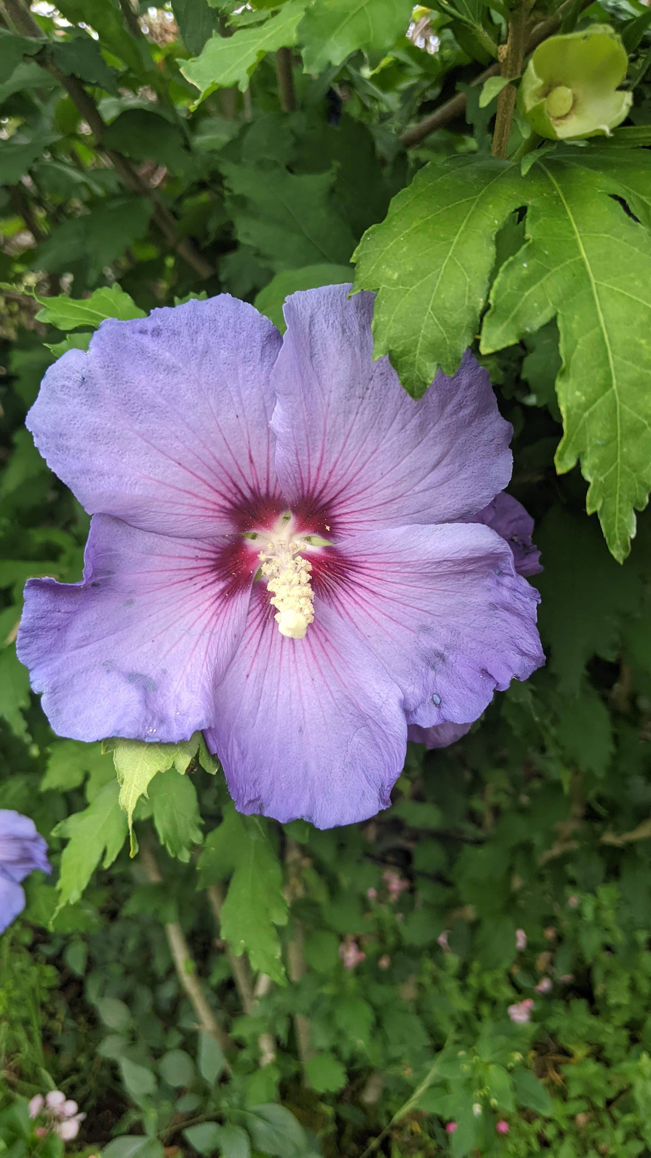 Photo n° 6 de l'avis de Jean-François.o fait le 28/07/2022 à 08:24