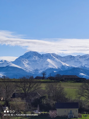 Fleur de Vie à Oueilloux