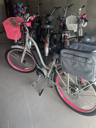 Bicycle Store «Trek Bicycle Store», reviews and photos, 1621 E Sunrise Blvd, Fort Lauderdale, FL 33304, USA